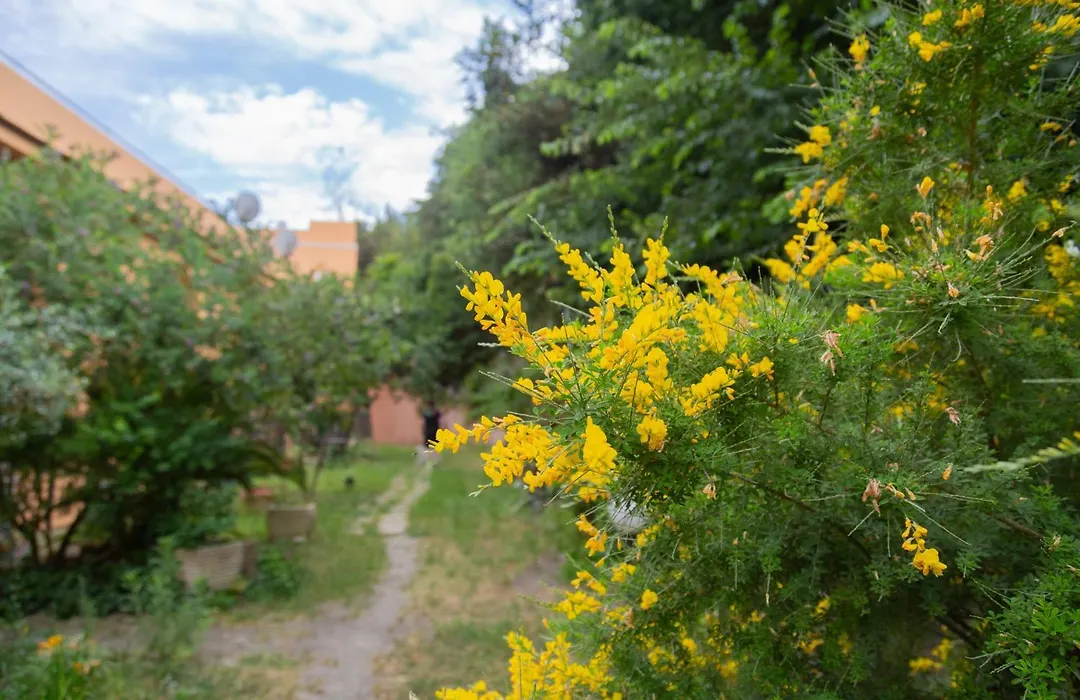 La casa di Nonna Peppina a Trastevere-1